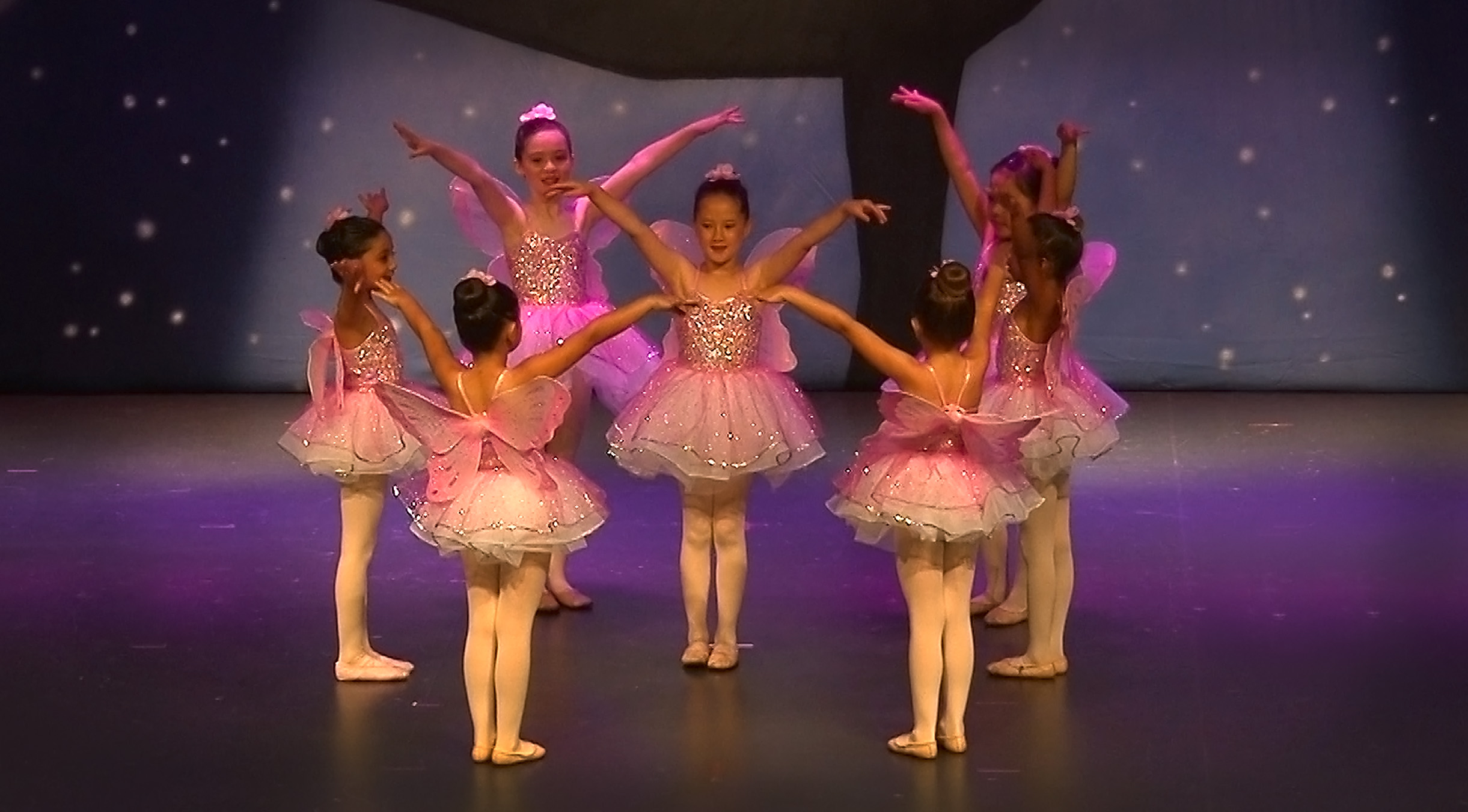 The Veksler Ballet Company